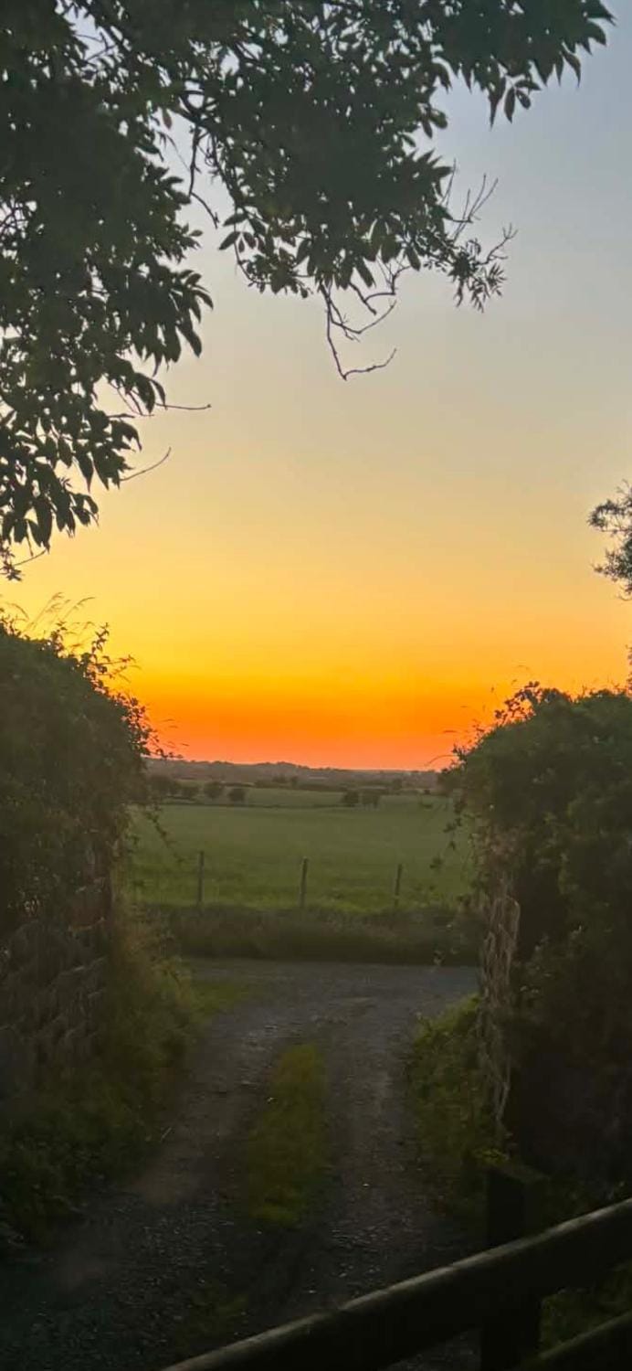 Day, Sunrise, Sunset