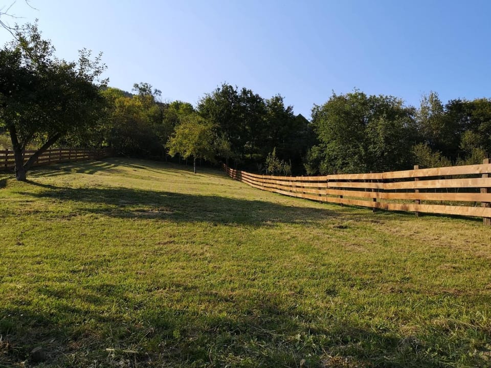 Natural landscape, Garden view