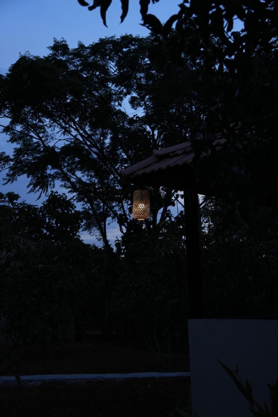 Night