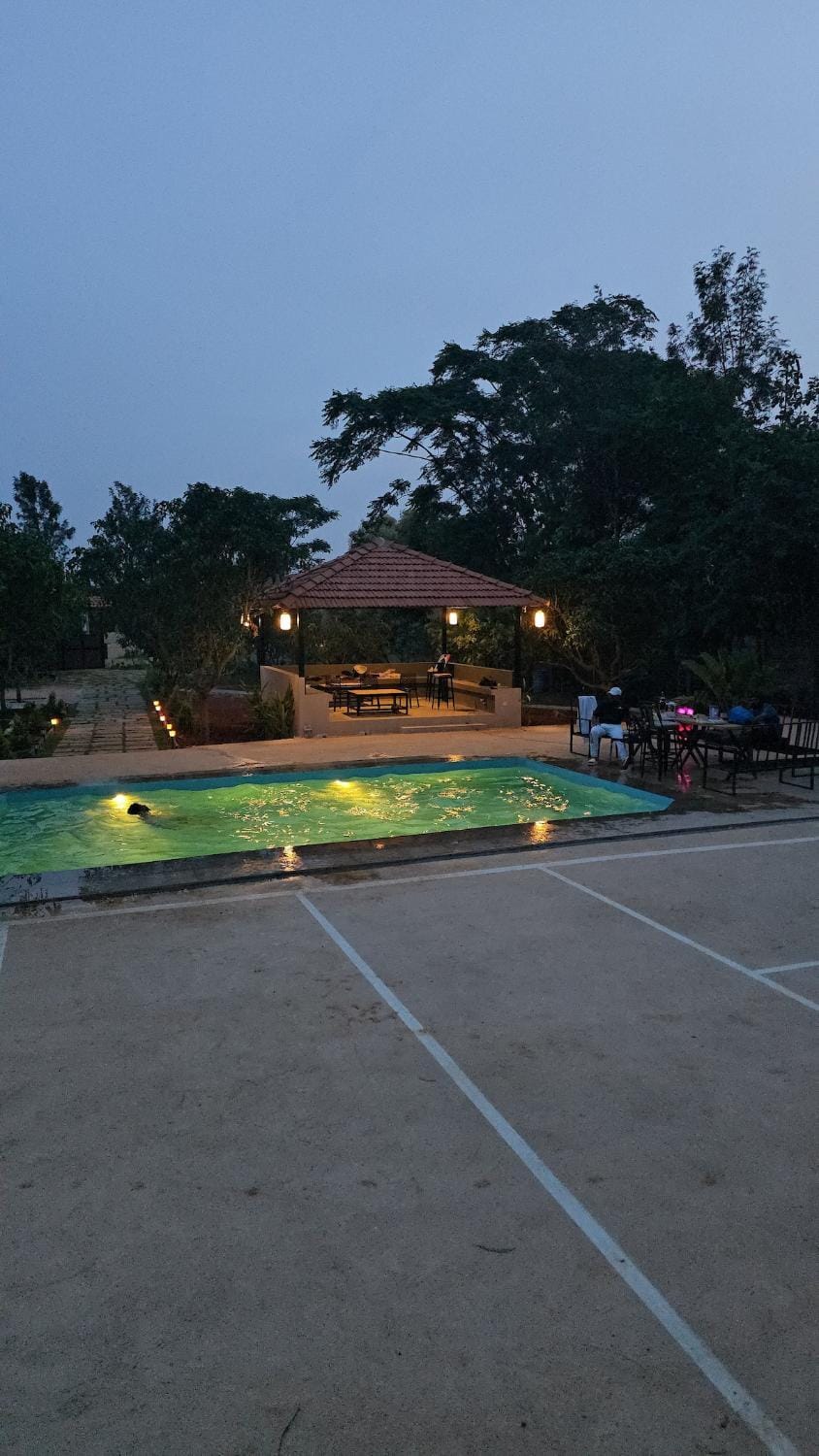 Night, Pool view, Swimming pool