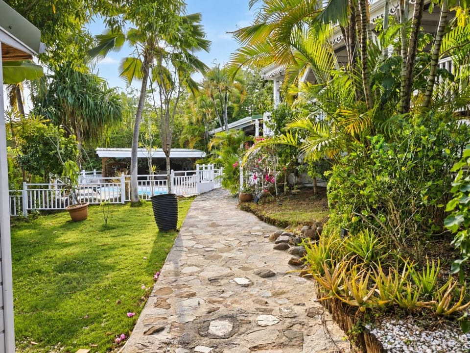 Day, Natural landscape, Garden, Garden view