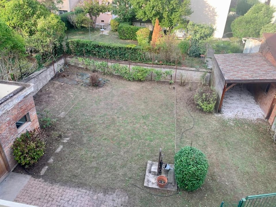 Garden, Garden, Garden view