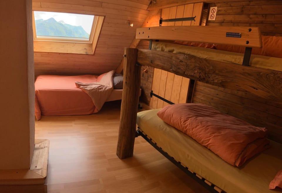 Bed, Photo of the whole room, Bedroom, bunk bed