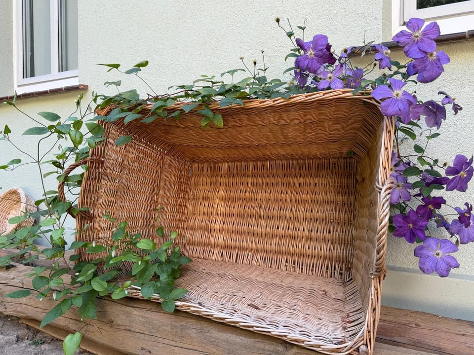 Misses Greenday Apartment in Quedlinburg