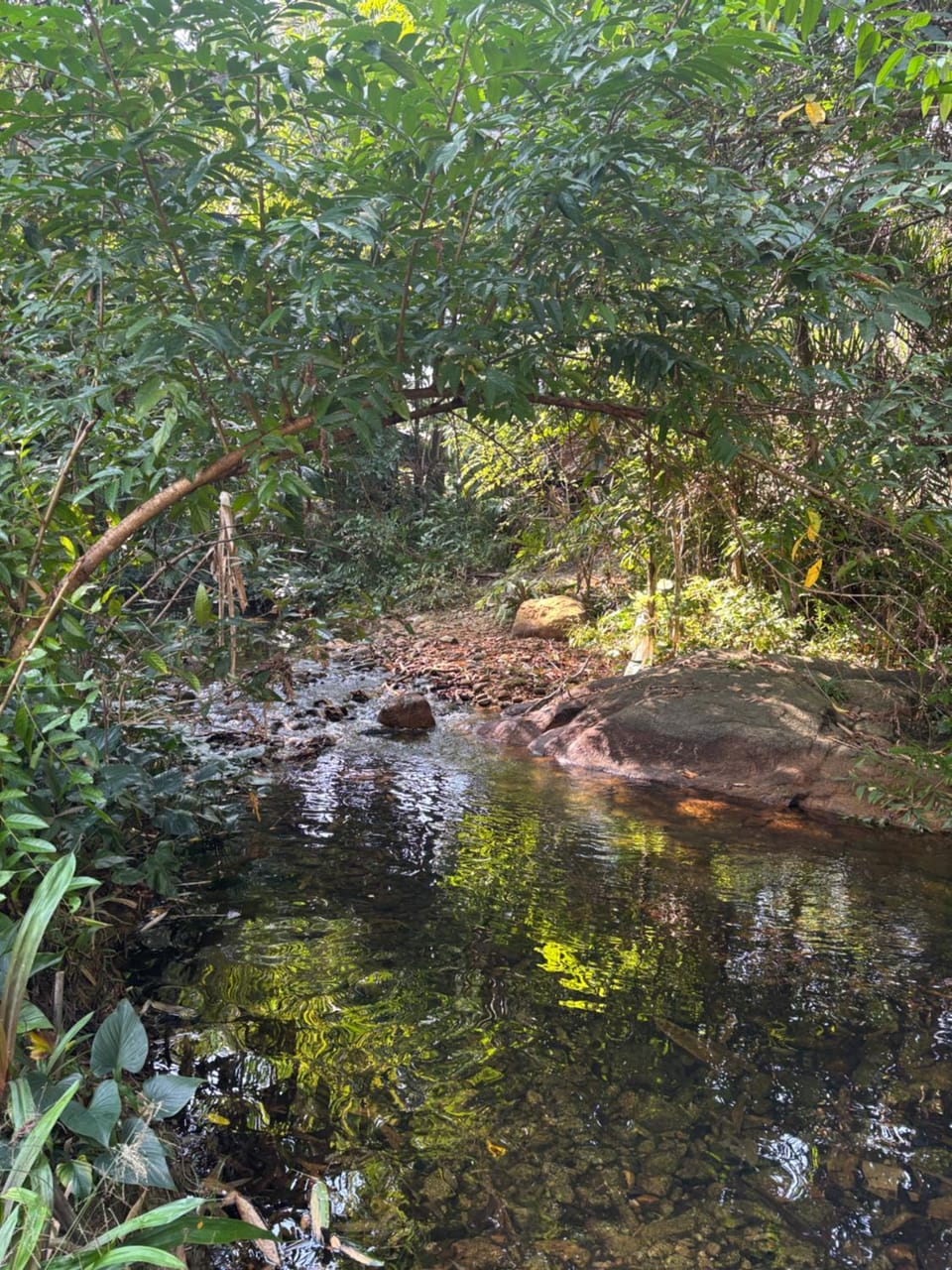 River view