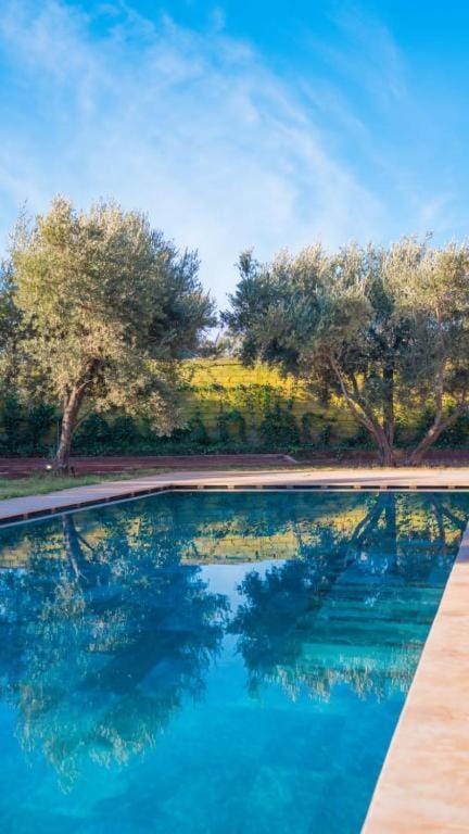 Day, Garden, Garden view, Swimming pool