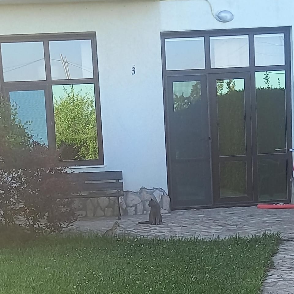 Villa Ketli Apartment Apartment in Varna Province
