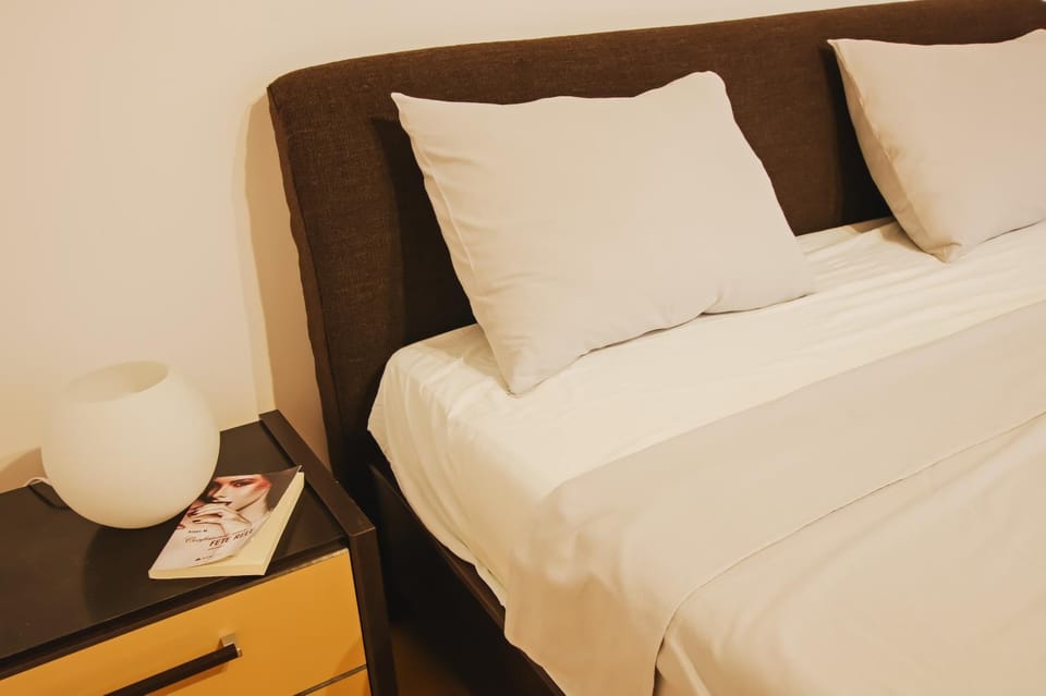 Bonne Adresse - close to hospitals in Copou and university Apartment in Romania