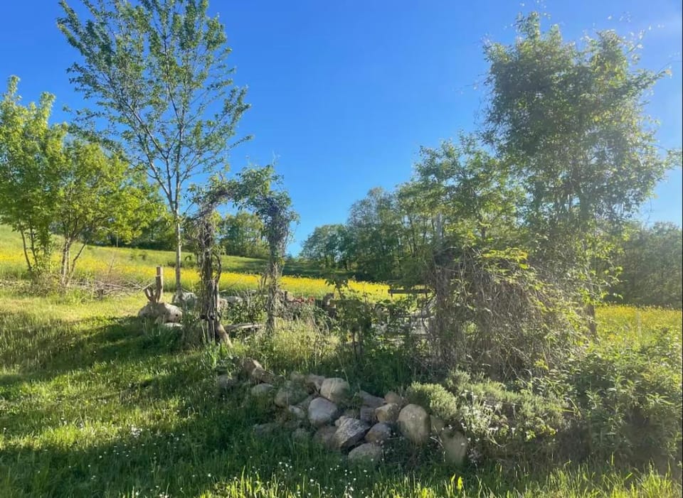 Spring, Day, Natural landscape, Garden, Garden view