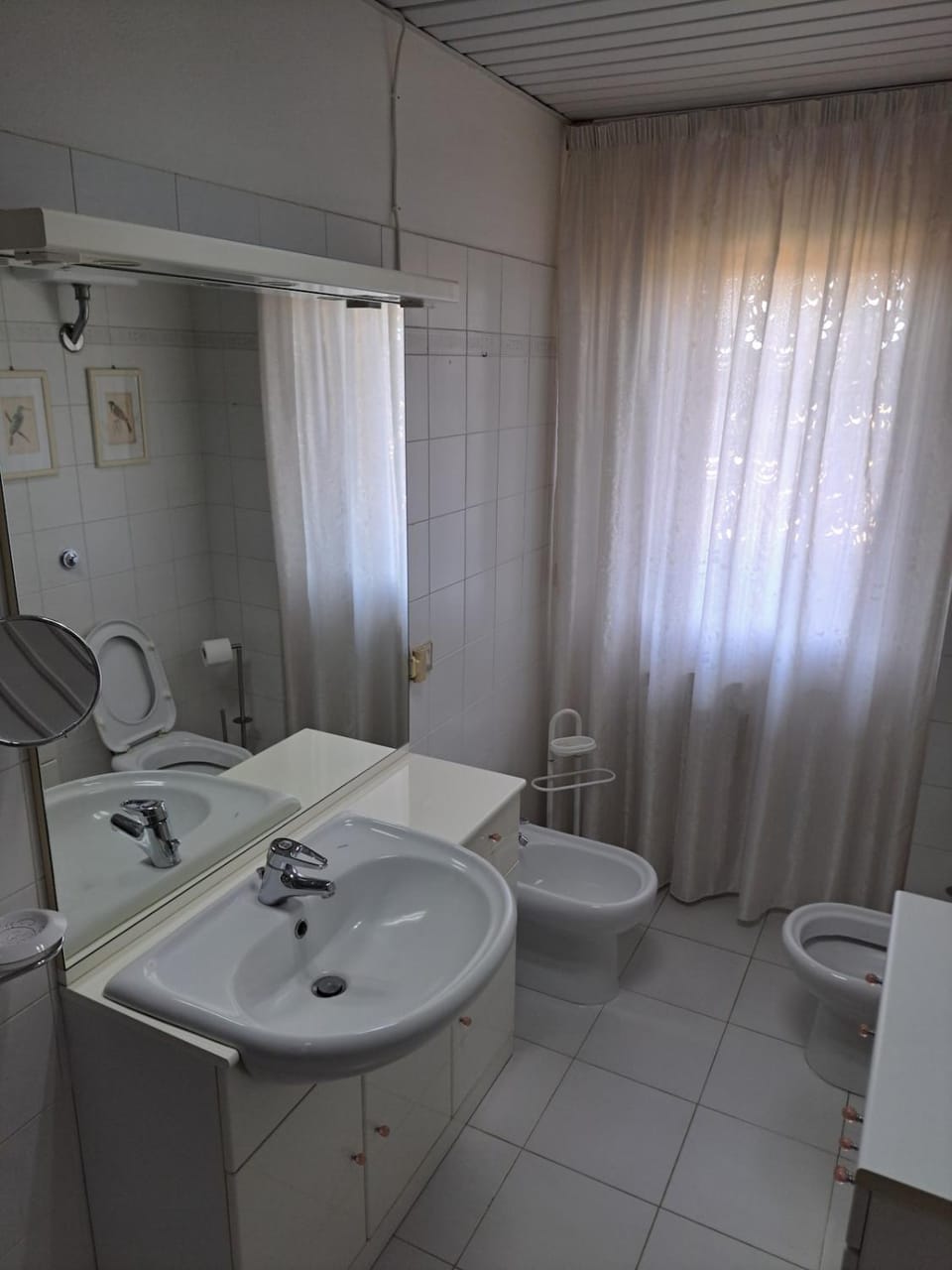 Shower, Toilet, Bathroom, bidet