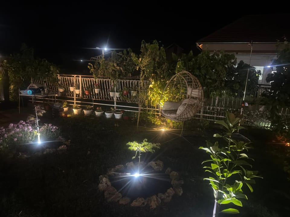 Night, Garden, Garden view