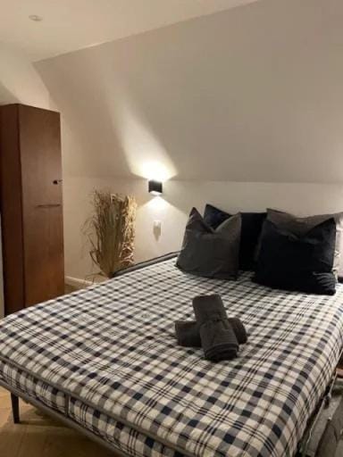 Cozy villa close to Strasbourg with swimming pool Apartment in Ortenau