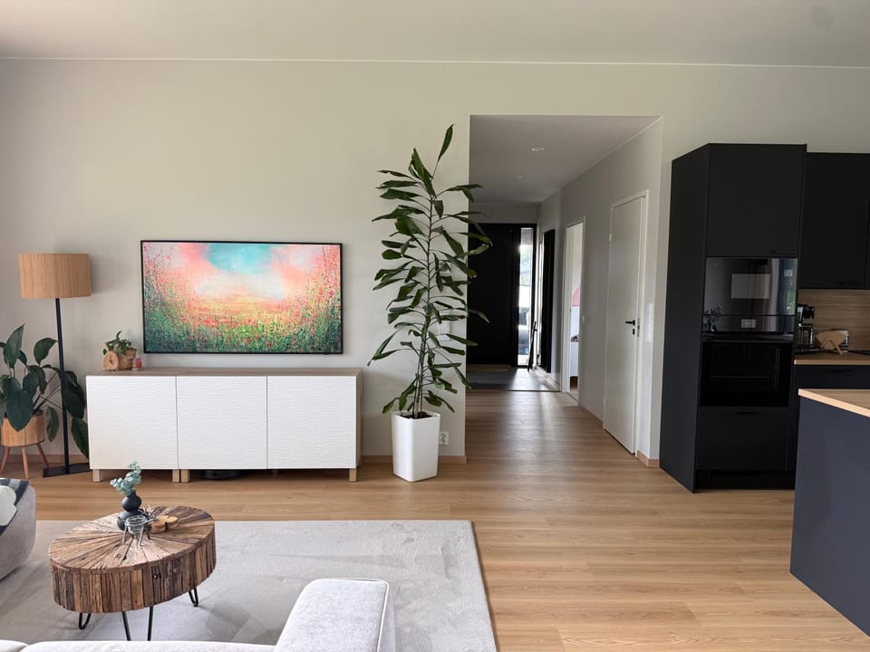 Living room, Photo of the whole room, Seating area, kitchen