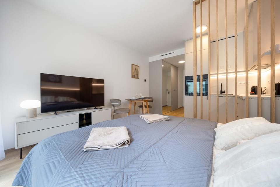 Bed, TV and multimedia, Kitchen or kitchenette, Photo of the whole room, Bedroom, minibar, pet friendly, towels