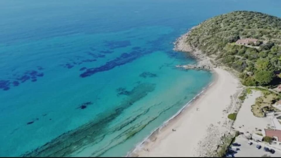 Bright 8-Guest Villa 800 mGarden branches 5 minutes Villa in Quartu Sant'Elena