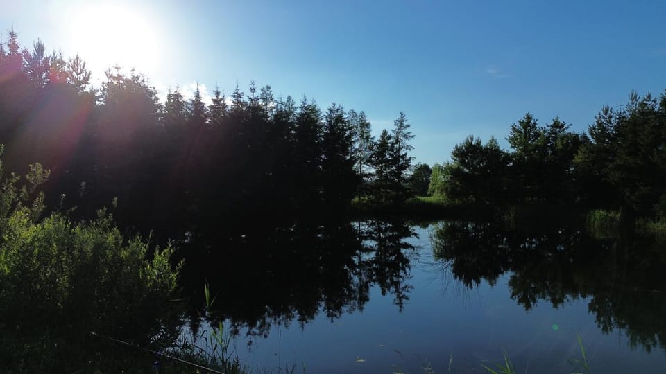 Lake view
