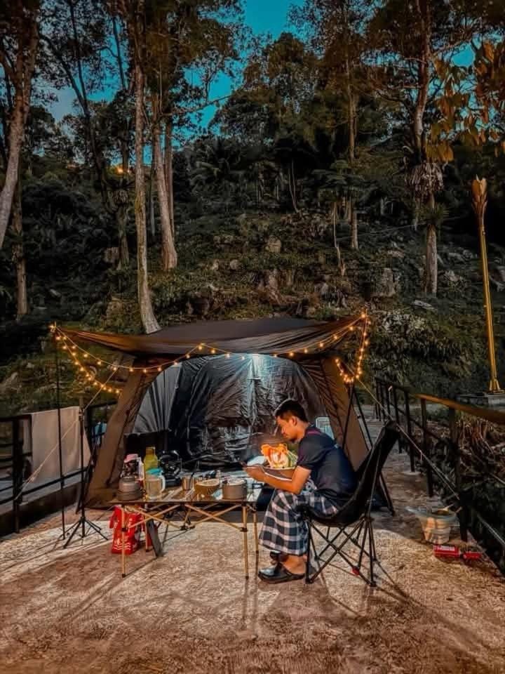 Day, People, Natural landscape, Dining area, Guests, Garden view