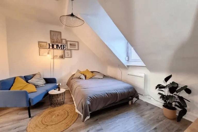SOH Rent Strasbourg Saint Florent Apartment in Strasbourg