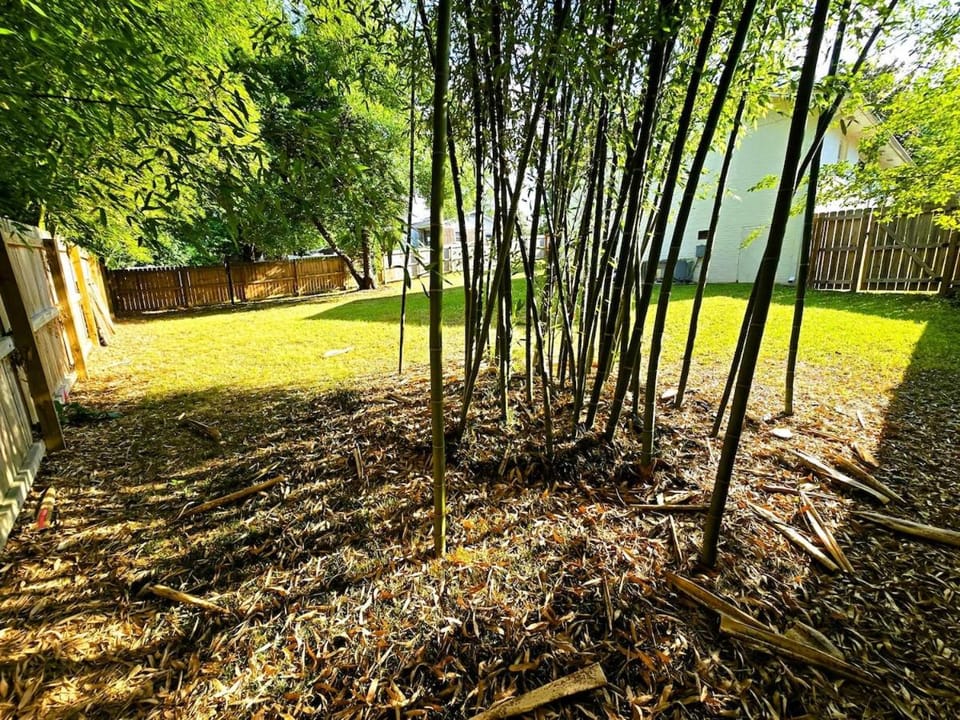 3 BR Walnut Creek Concerts, Fenced Yard, King bed, Downtown House in Raleigh