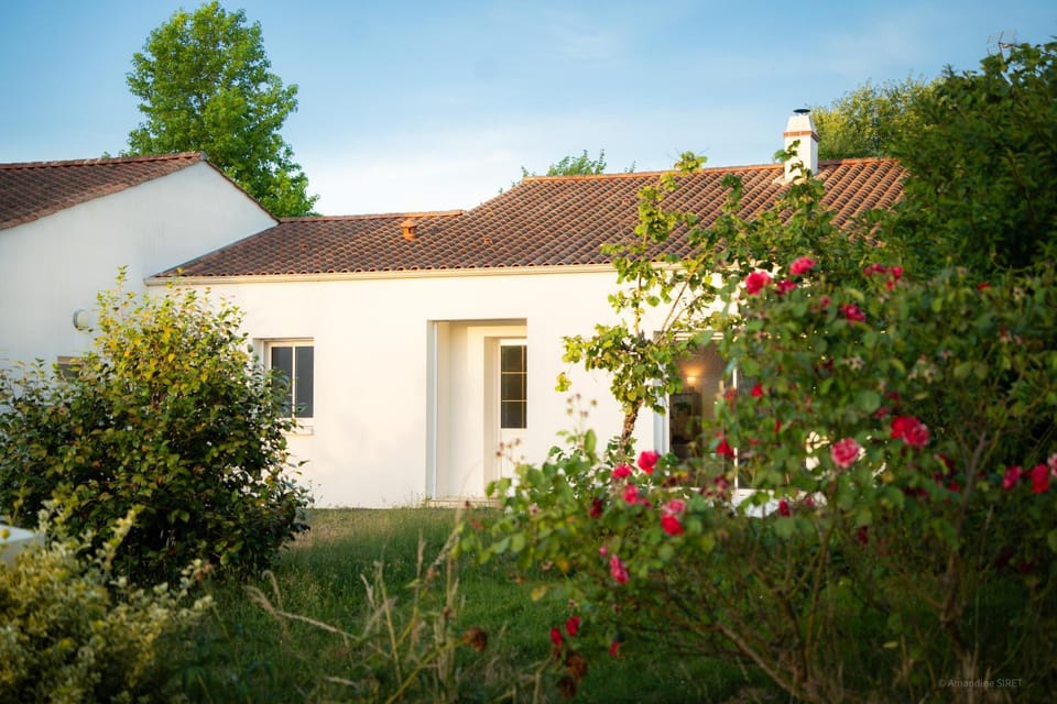 Facade/entrance, Garden, Garden view