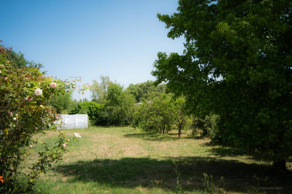 Natural landscape, Garden, Garden