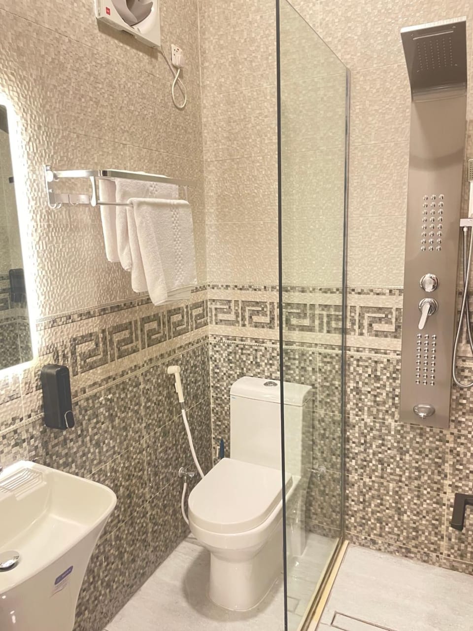 Shower, Toilet, bidet, towels