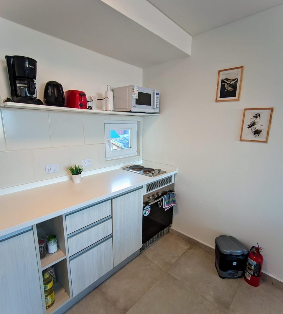 Lo de Gaston Apartment in Ushuaia