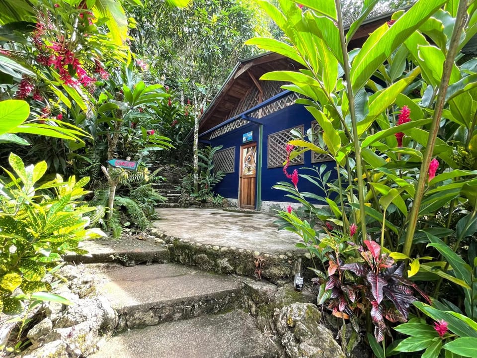 Photo of the whole room, Garden view
