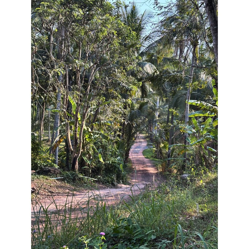 Natural landscape