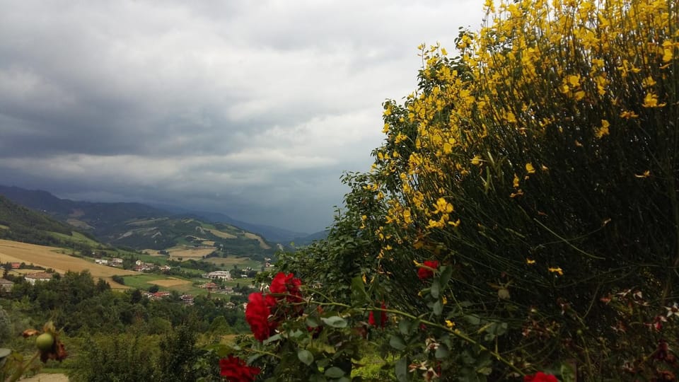 Spring, Natural landscape, Garden view, Mountain view