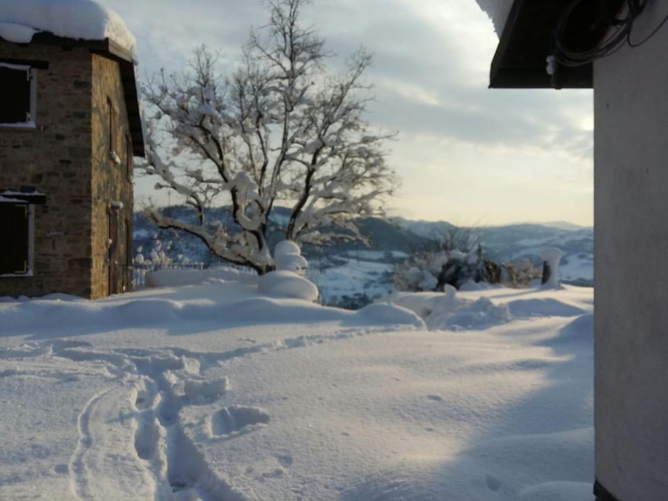 Property building, Winter