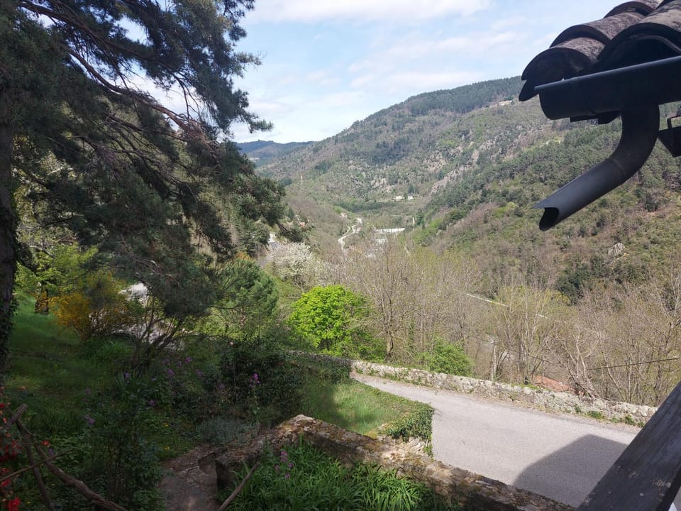 Mountain view