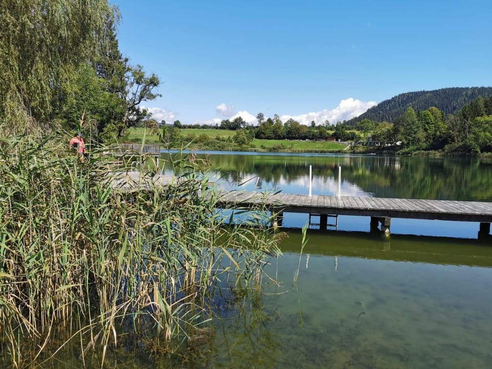 Natural landscape, Fishing, Snorkeling, Diving