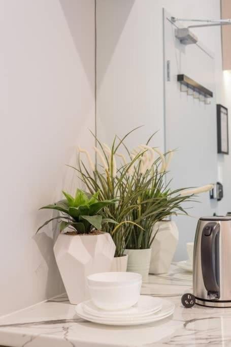 Chic Double Room with AC - Centrally Located of SYD - Near Central Station - Shared Bathroom House in Surry Hills