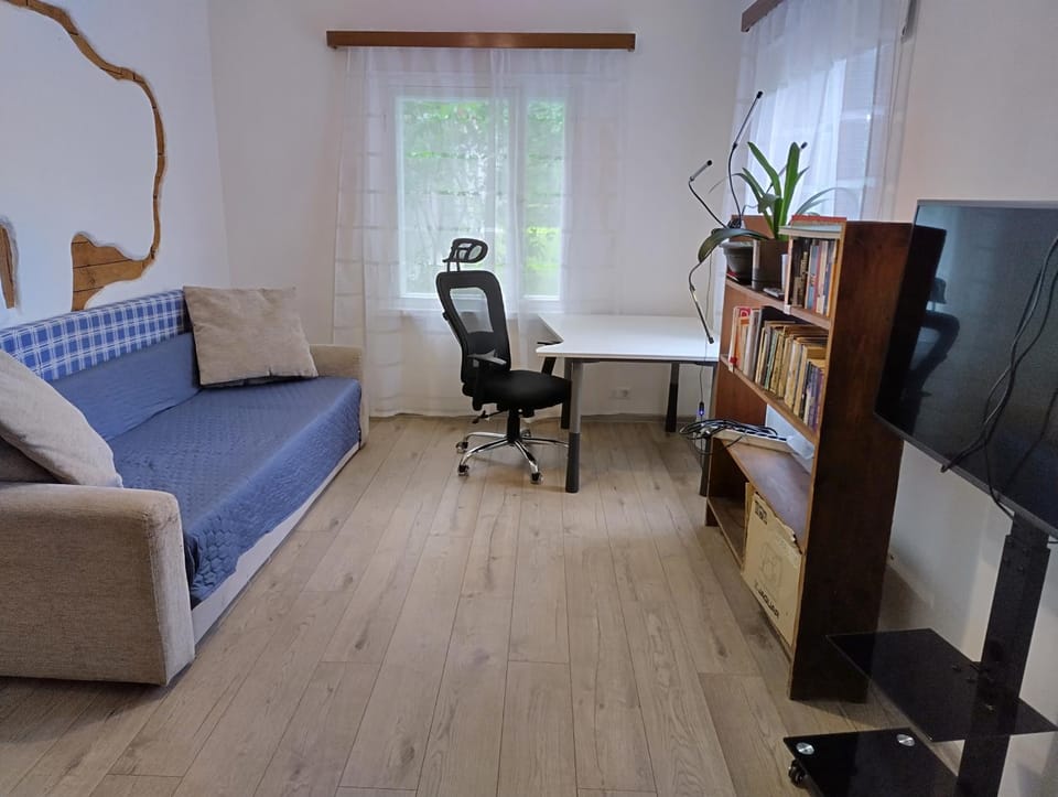 Communal lounge/ TV room, Living room, Seating area