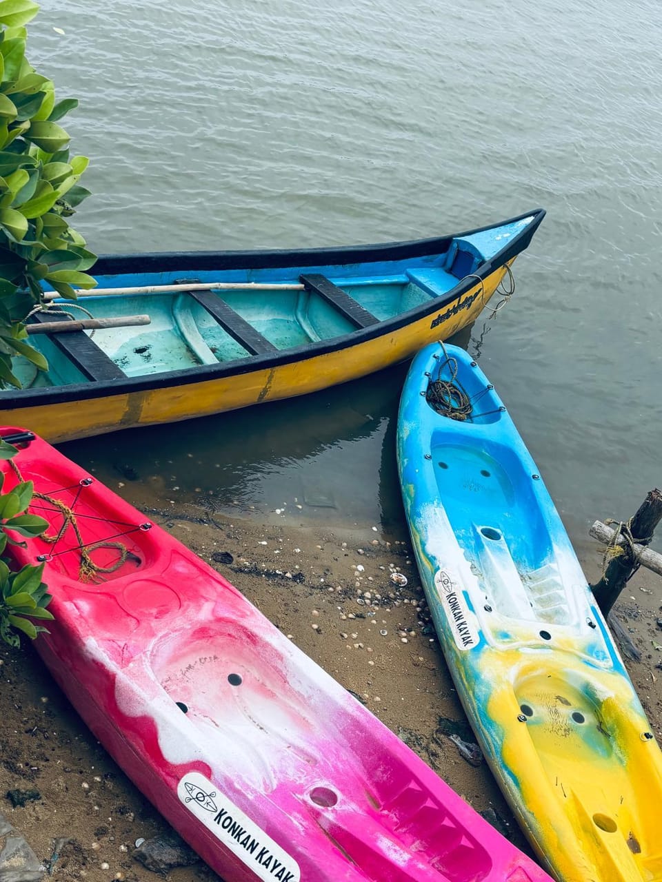 Kadapu stay Vacation rental in India