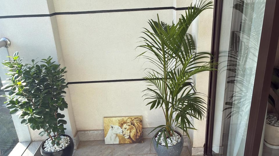 beautifully two bedroom apartment with swimming pool fully equipped gym ample parking space children playground and breathtaking views Apartment in Nairobi County