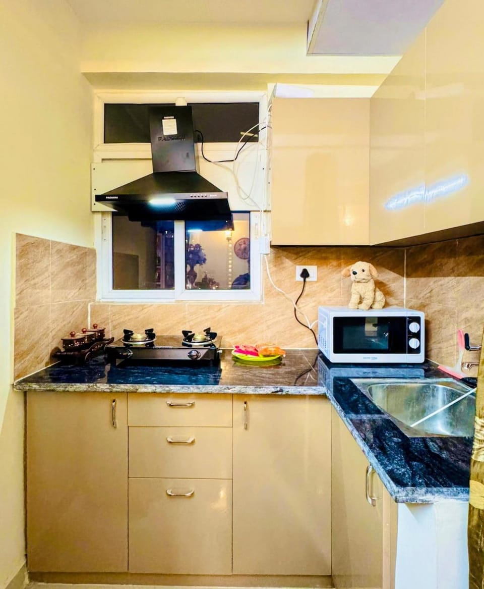 Cozy 1 BHK Flat with a city view Apartment in Uttar Pradesh