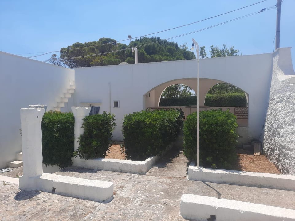 Patio, Garden