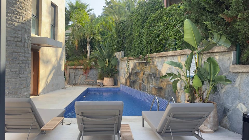 Patio, Day, Garden, Seating area, Garden view, Swimming pool, sunbed