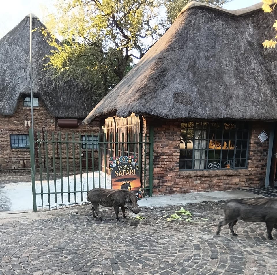 Afrika Safari Gastehuis Bed and Breakfast in South Africa
