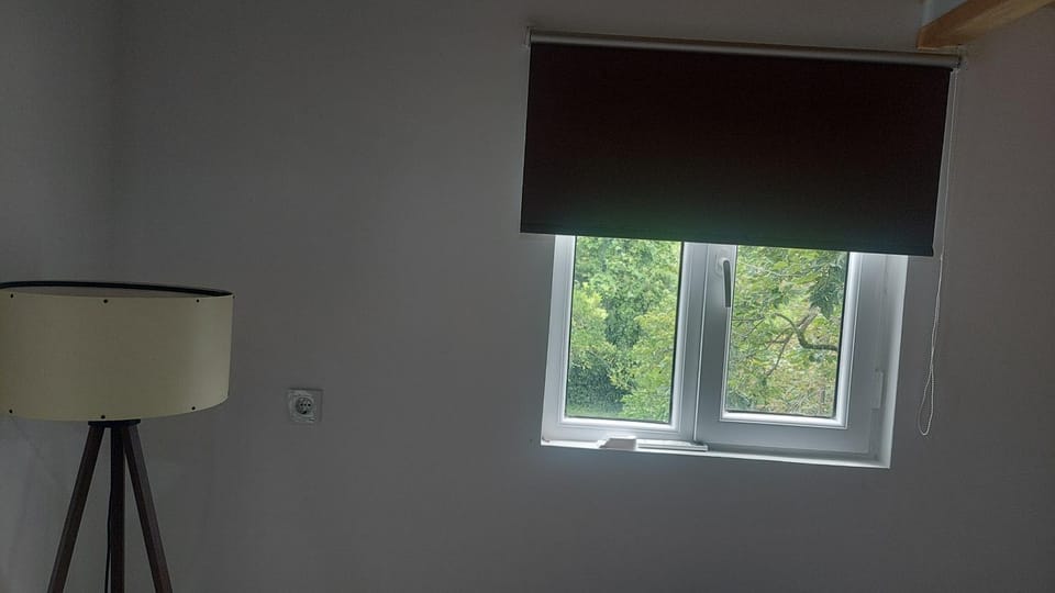 Jonson Apartment in Georgia