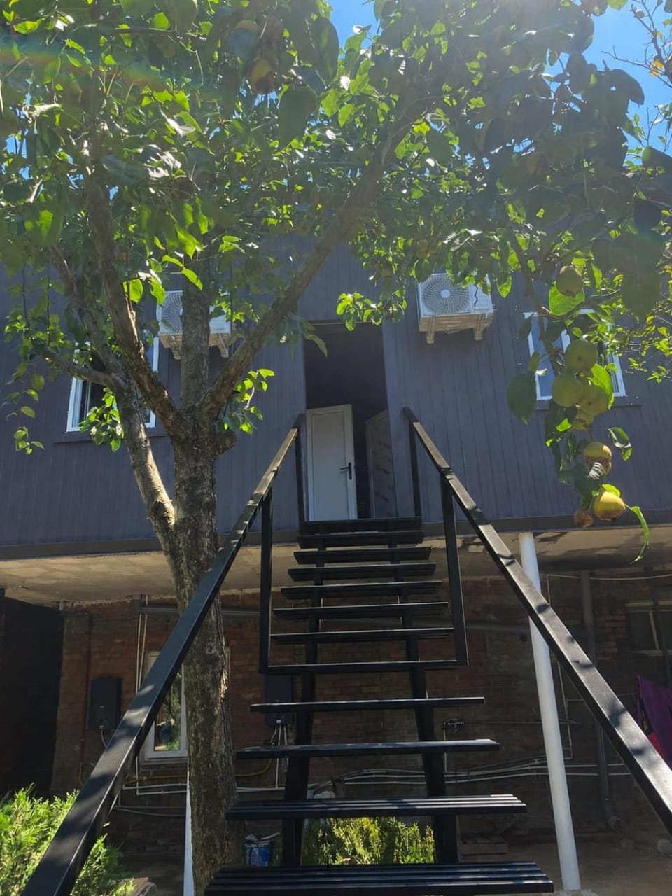 Jonson Apartment in Georgia