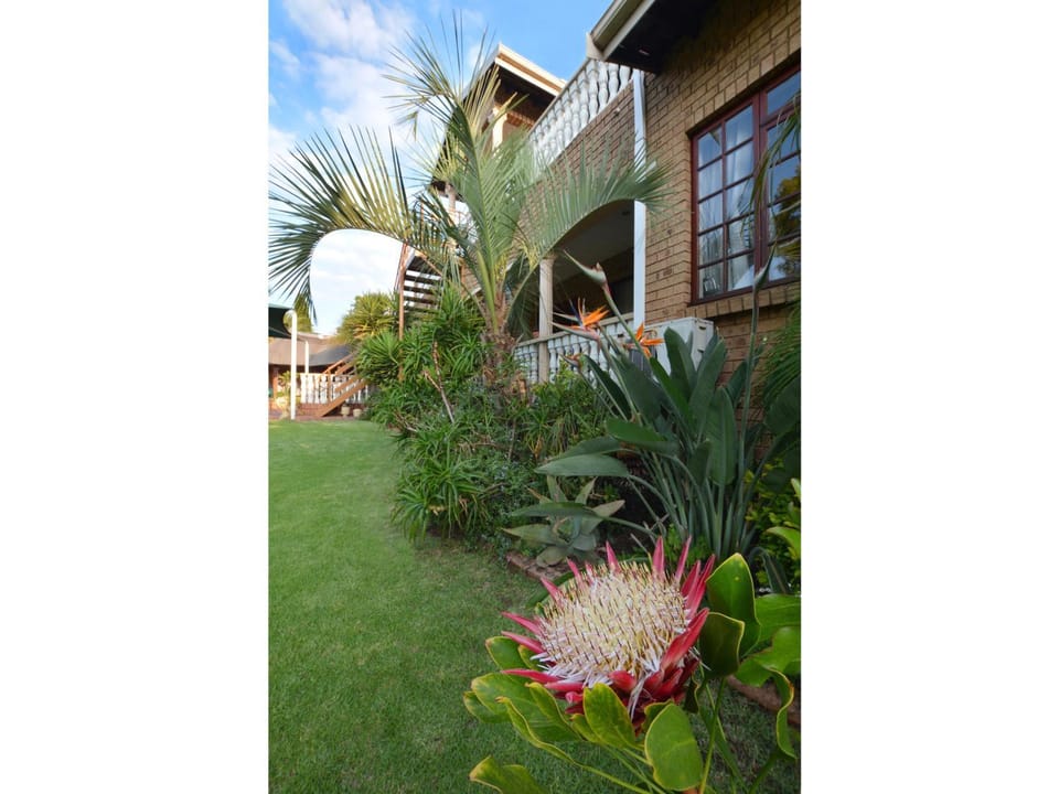 Property building, Facade/entrance, Garden