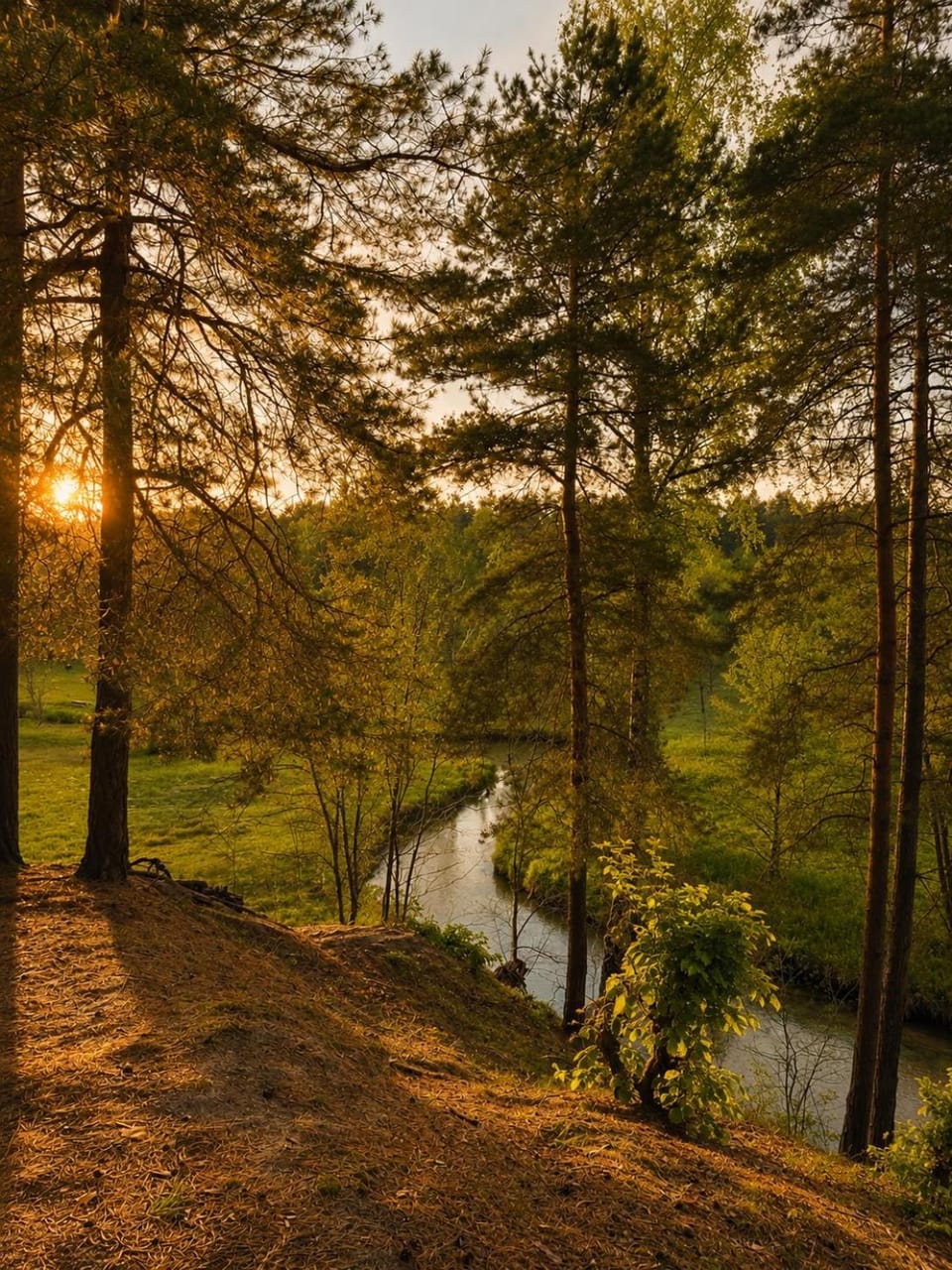 Leśny Azyl Pole Kamperowe nad Wieprzem - MIEJSCE NA KAMPERY Campground/ 
RV Resort in Poland