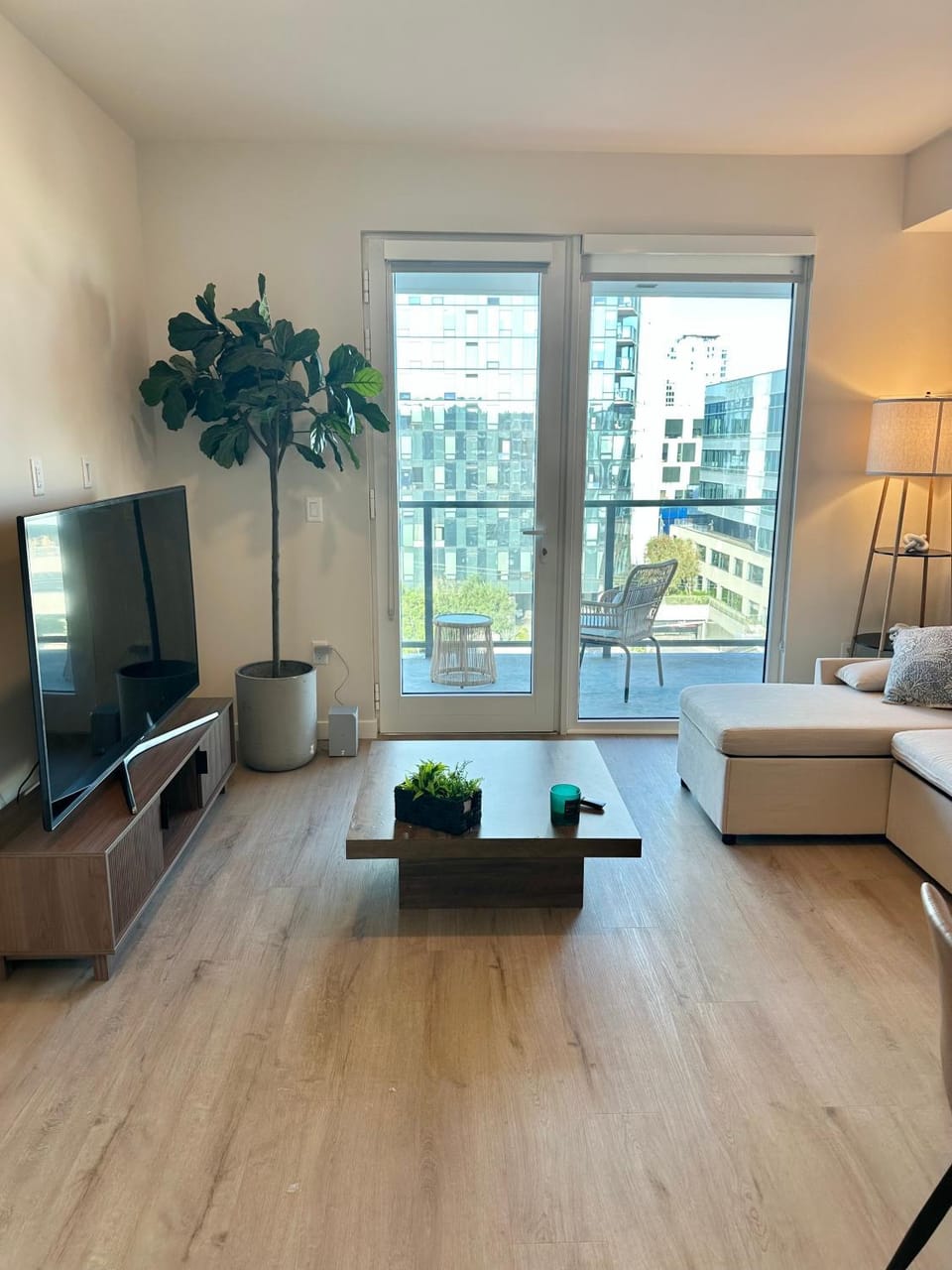 Communal lounge/ TV room, TV and multimedia, Living room, Photo of the whole room, Seating area, Evening entertainment