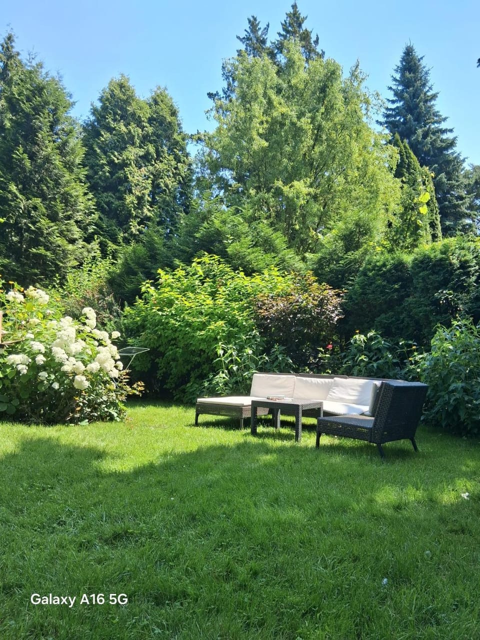 Zielone Zacisze Villa in Masovian Voivodeship