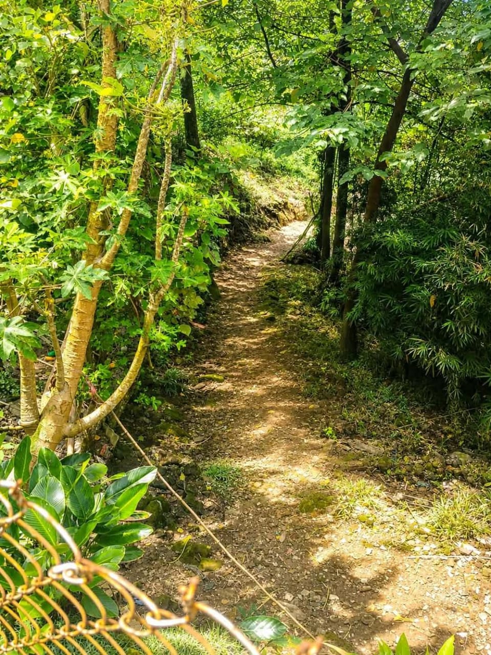 Susan homestay Vacation rental in Vietnam