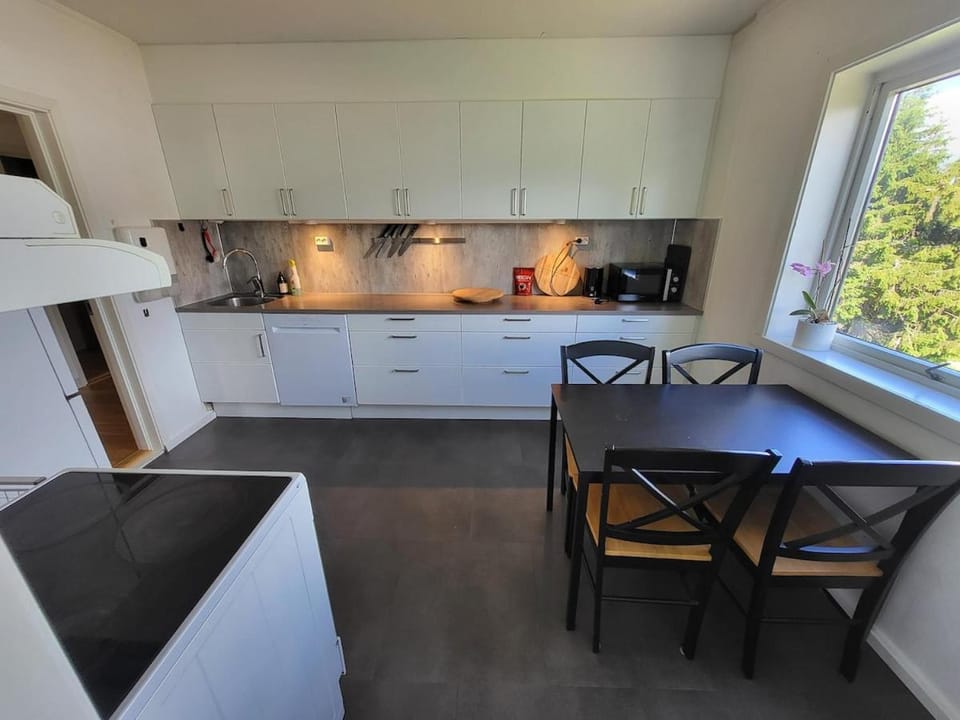Kitchen or kitchenette, Dining area, dishwasher, stove