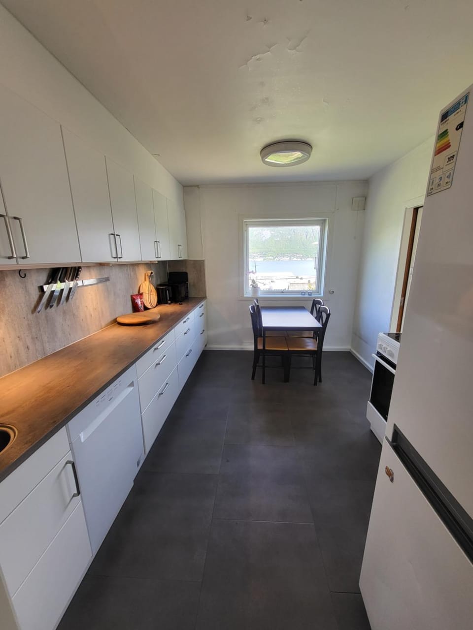Kitchen or kitchenette, Dining area, dishwasher, stove
